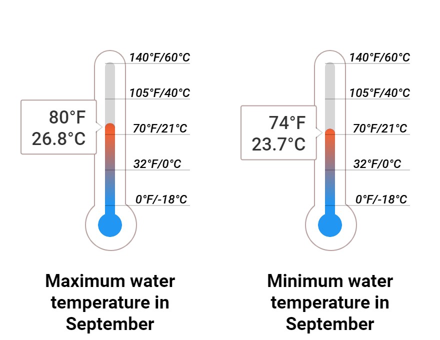 Average Sea temperature